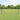 Hecke met palen Grijs 0.6 x 10 m PVC-gecoat staal