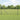 Hecke met palen Grijs 1 x 10 m PVC-gecoat staal