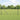 Hecke met palen Grijs 1 x 10 m PVC-gecoat staal