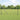 Hecke met palen Grijs 1 x 50 m PVC-gecoat staal