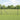 Hecke met palen Grijs 1 x 100 m PVC-gecoat staal