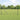 Hecke met palen Grijs 1 x 100 m PVC-gecoat staal