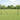 Hecke met palen Grijs 1 x 100 m PVC-gecoat staal