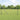 Hecke met palen Grijs 1 x 100 m PVC-gecoat staal