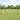 Hecke met palen Grijs 1.2 x 100 m PVC-gecoat staal