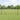 Hecke met palen Grijs 1 x 10 m Staal