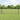 Hecke met palen Grijs 0,5 x 25 m Staal