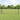 Hecke met palen Grijs 0,5 x 50 m Staal