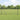 Hecke met palen Grijs 1 x 50 m Staal