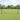 Hecke met palen Grijs 0,5 x 10 m Staal