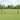 Hecke met palen Grijs 0,5 x 50 m Staal