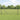 Hecke met palen Grijs 1 x 50 m Staal