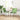 Eetkamerstoelen 2 st fluweel lichtgroen