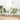 Eetkamerstoelen 2 st fluweel lichtgroen