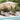 Ligbed 2-persoon 2 pcs Taupe 184 x 55 x 64cm Massief acaciahout