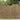 Riet Omheining Bruin 300 x 180 cm Riet
