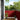 Balkonscherm Rood 90x700 cm 100% Polyester Oxford
