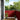 Balkonscherm Rood 90x800 cm 100% Polyester Oxford