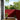 Balkonscherm Rood 120x700 cm 100% Polyester Oxford