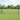 Gelaste draadhek Groen 1.6 x 25 m Staal