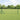Euro Hek Groen 0.6 x 10 m PVC-gecoat ijzer