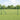 Euro Hek Groen 1 x 25 m PVC-gecoat ijzer