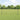 Hecke met palen Grijs 1 x 10 m Staal