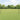 Hecke met palen Grijs 0.6 x 10 m Staal