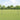 Hecke met palen Grijs 1.4 x 10 m Staal