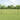 Hecke met palen Grijs 1.2 x 25 m Staal