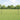 Hecke met palen Grijs 1.2 x 25 m Staal