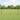 Hecke met palen Grijs 1.2 x 10 m Staal