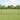 Hecke met palen Grijs 1.2 x 10 m Staal