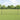Hecke met palen Grijs 1 x 100 m Staal