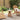 Tuin Zijtafel Bruin 50 x 50 x 49.5 cm Massief teakhout