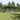 Partytent Groen en Wit 600 x 400 x 266 cm Polyester en staal