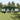 Partytent Groen en Wit 600 x 400 x 266 cm Polyester en staal