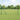 Zeskantig hekwerk Groen 1 x 50 m Staal