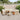 Tuin Sofa Set 12 pcs beige en crèmekleurig 80 x 80 x 71 cm