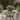 Tuin Kom Plantenbak 5 pcs Zwart 35 x 35 x 15 cm Staal