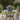 Tuin Kom Plantenbak 5 pcs Antraciet 35 x 35 x 15 cm Staal