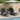 Zonnebank Set van 3 Grijs en marineblauw PE riet, metaal Vouwbaar